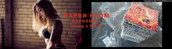 индика Волосово