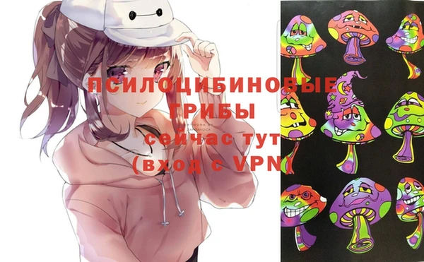 гашик Верхний Тагил
