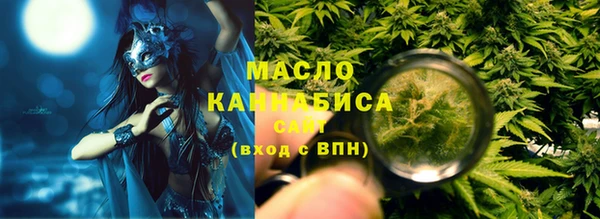 индика Волосово