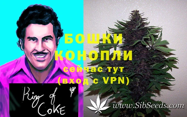 каннабис Верея