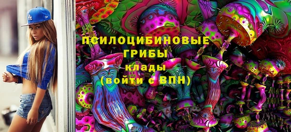 гашик Верхний Тагил