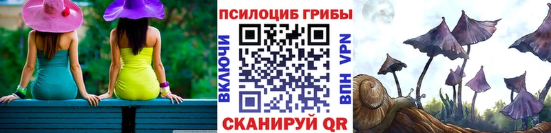 kraken ONION Любим Псилоцибиновые грибы прущие грибы
